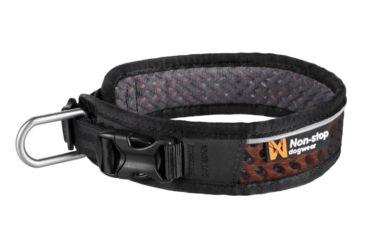 Rock Adjustable Collar (Non - Stop Dogwear) - SnowPaw Store - Non - Stop Dogwear - Dog Collars, Leads, Belts